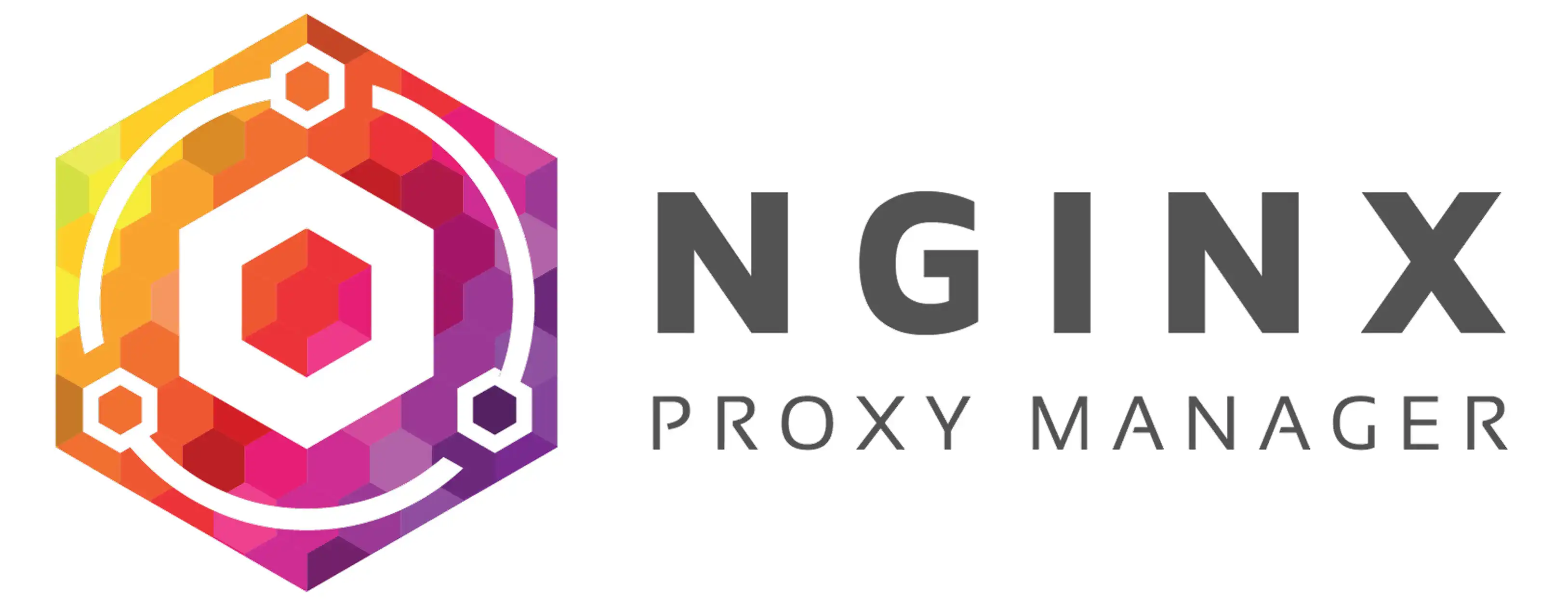 Nginx Proxy Manager UI